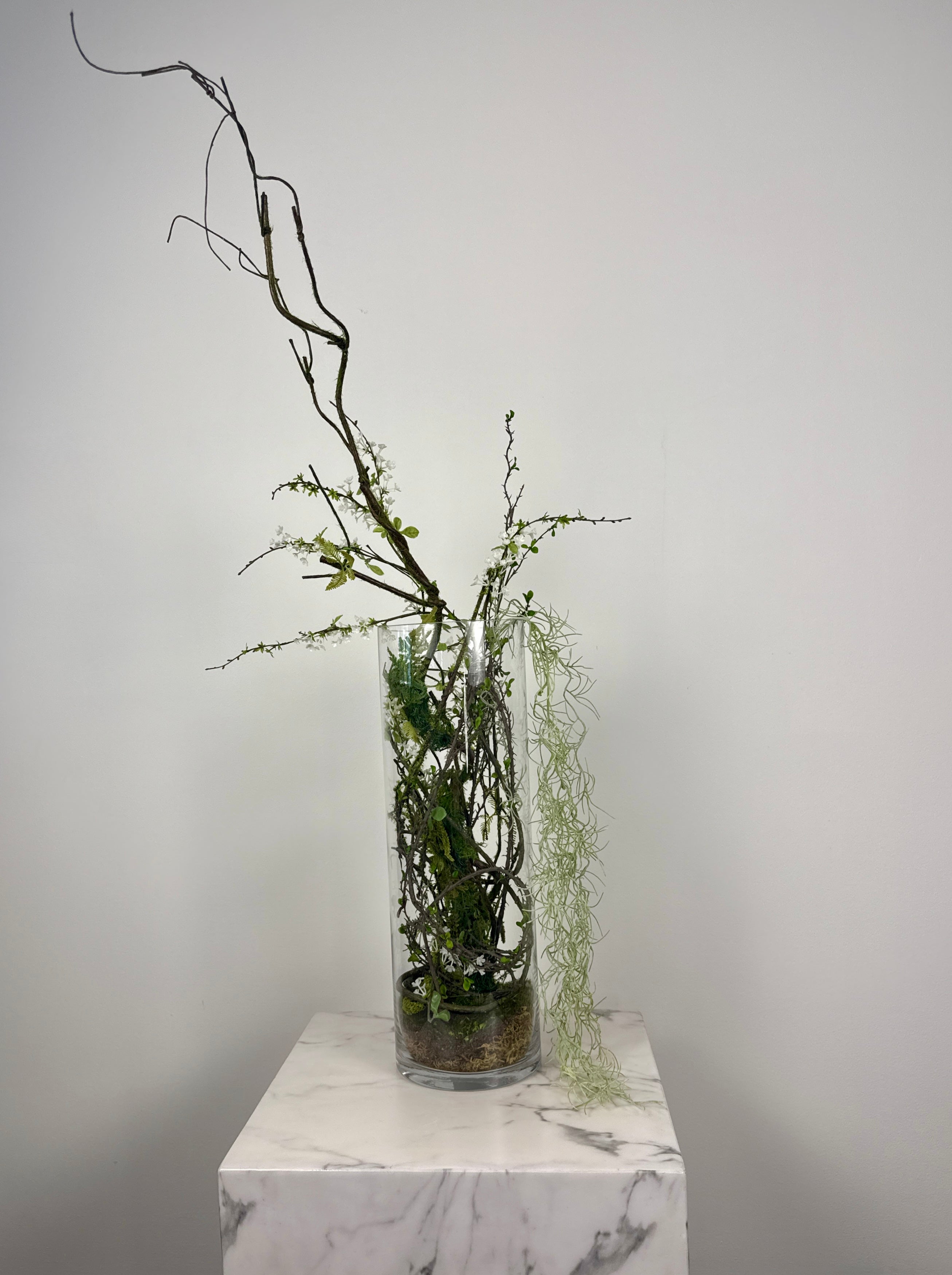 Forest Intrigue Large